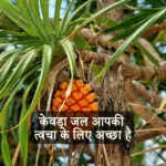 Know how Kewda water is good for your skin