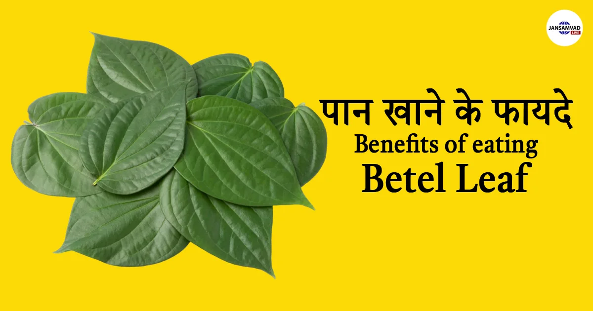 Health Benefits Of Betel Leaf