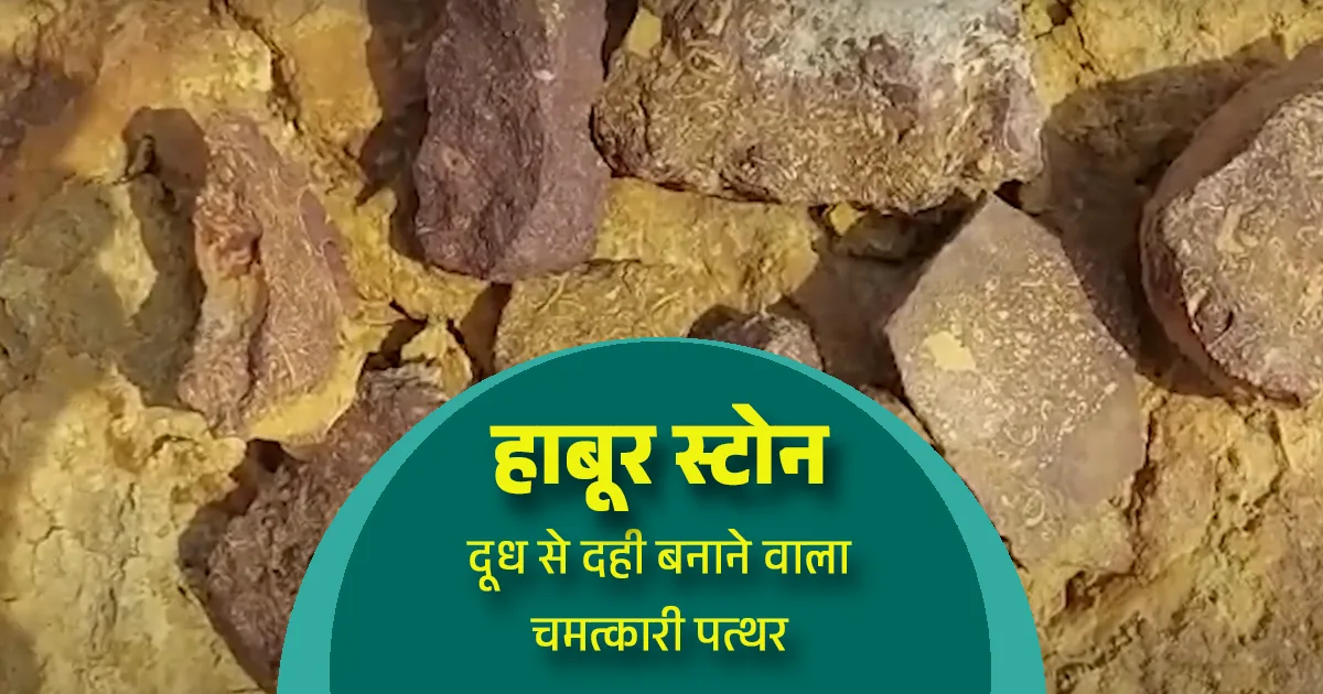 Habur Stone